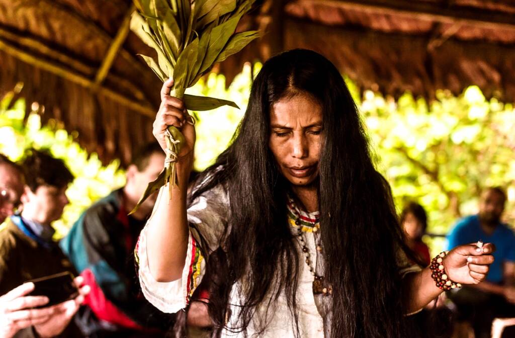 Ayahuasca, a famous new age movement practice.