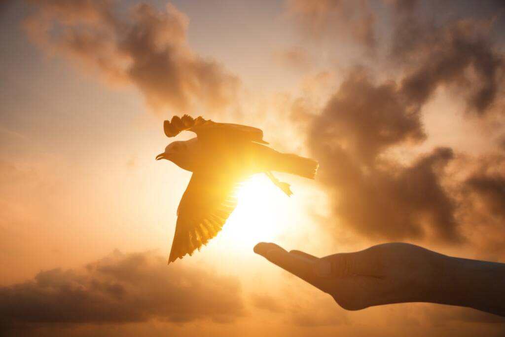 Finding God in each of us